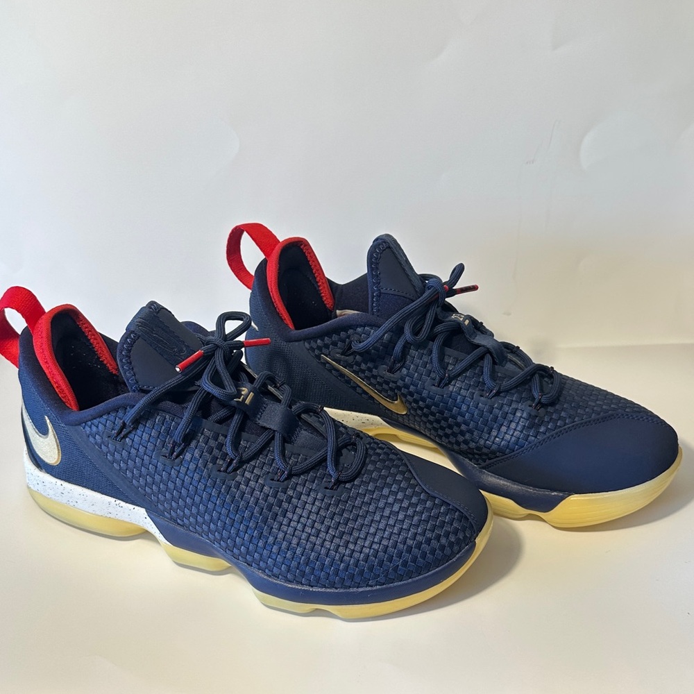 Nike LeBron 14- Worn Once